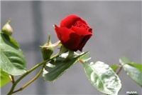 9048ac34-IMG_4854 Don Juan.jpg
